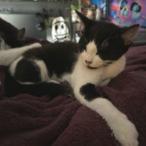 Meet Martin This sweet boy might be a little shy at first but once he warms up