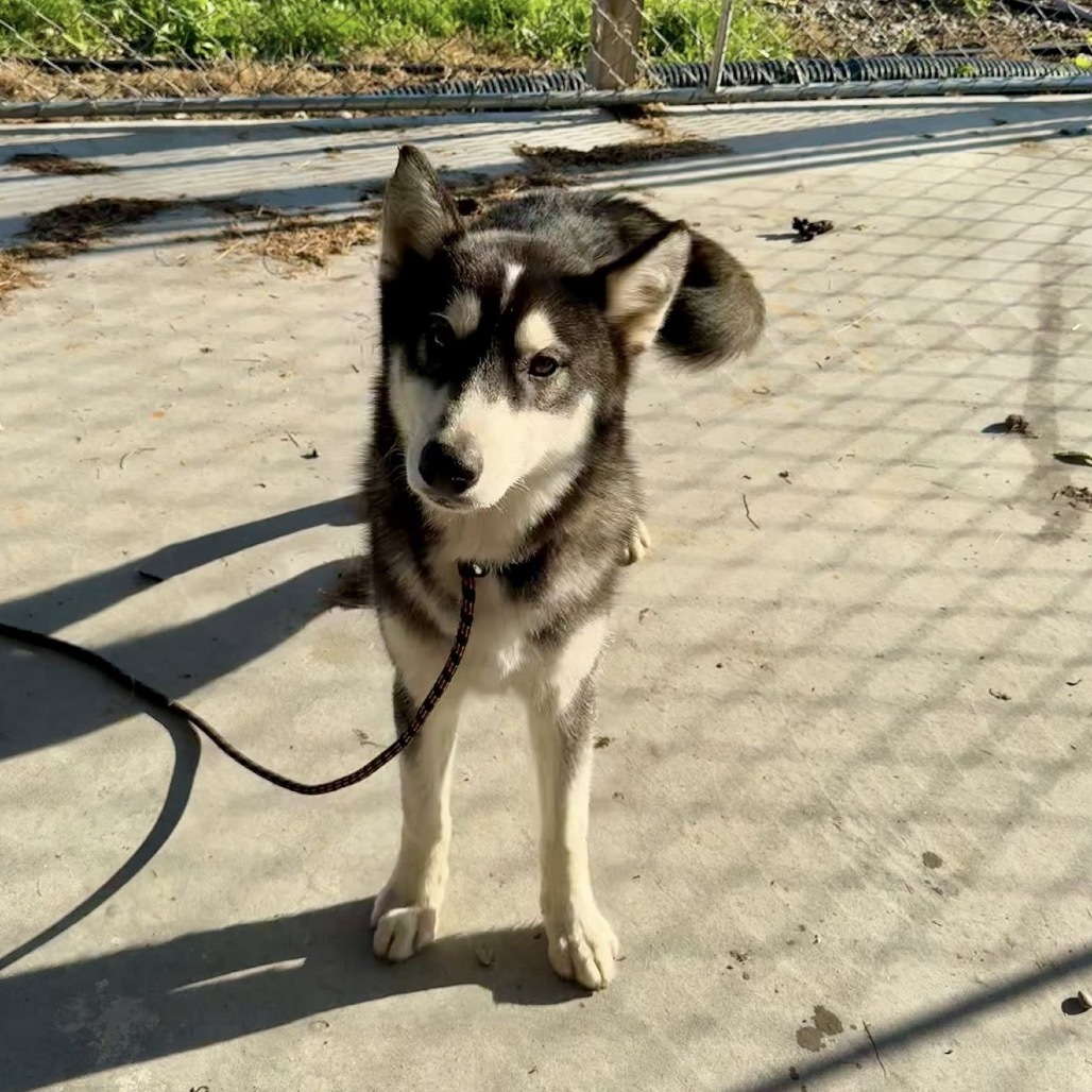 Raco