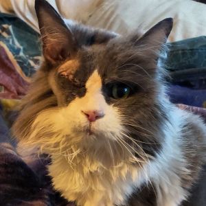 Precious, Senior Female unknown