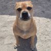 Oakley photo 1