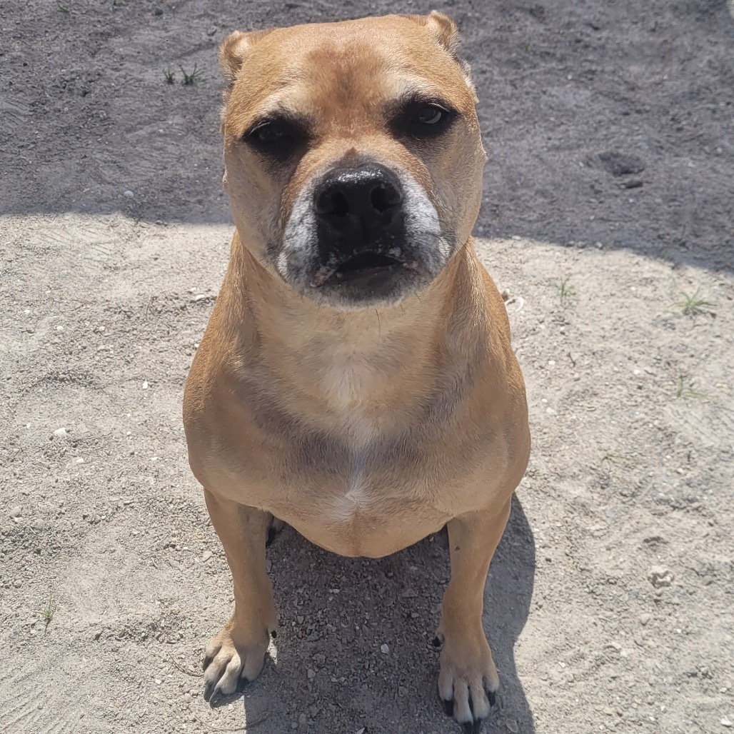 Oakley