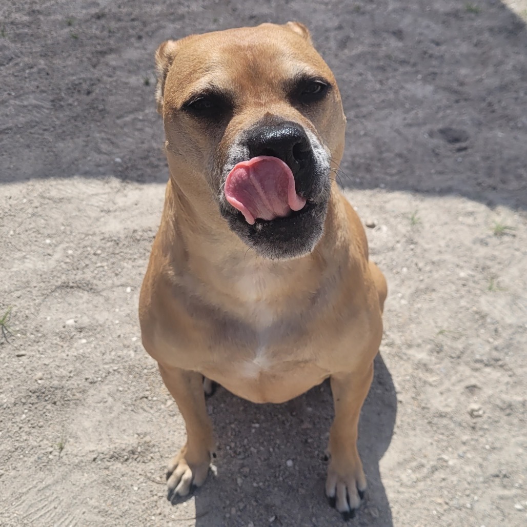 Oakley