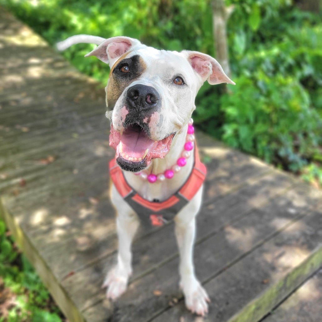Wilma