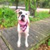 Wilma photo 2