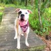 Wilma photo 3