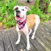 Wilma photo 4
