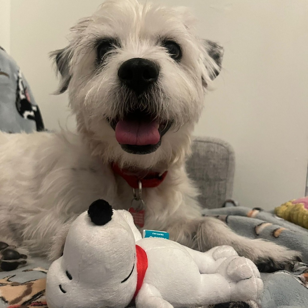 Snoopy