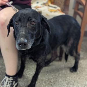Jackie, Senior Female unknown