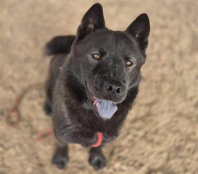 OSO