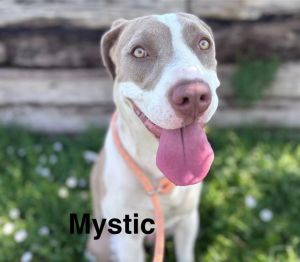 MYSTIC, Young Female unknown