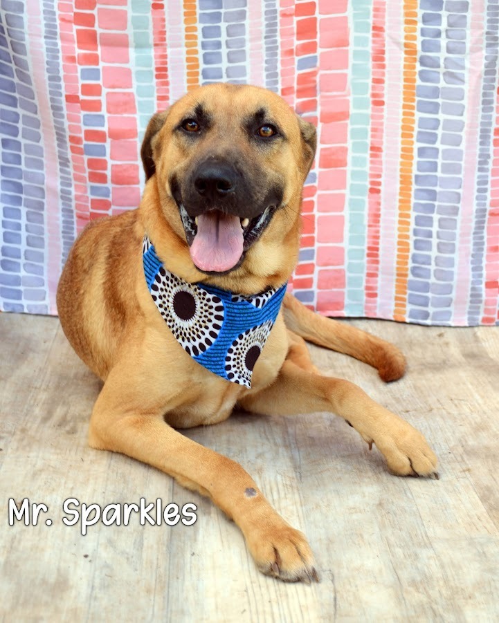 Mr. Sparkles