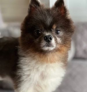 Stanley Zbornak, Senior Male unknown