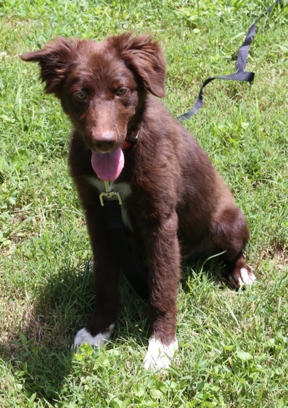 Kenai