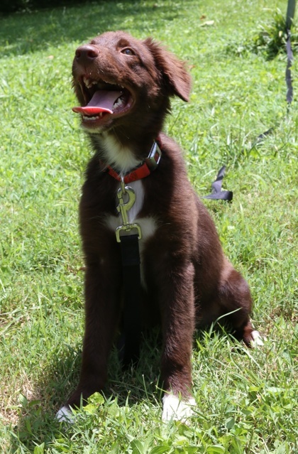 Kenai