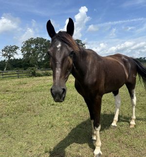 Georgia, Senior Female unknown