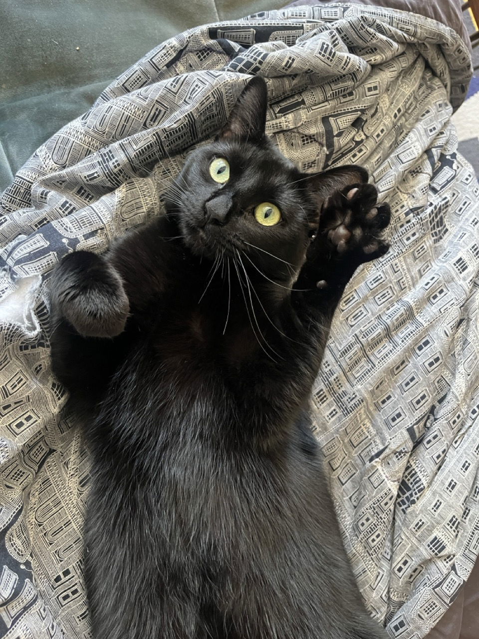 Kiki