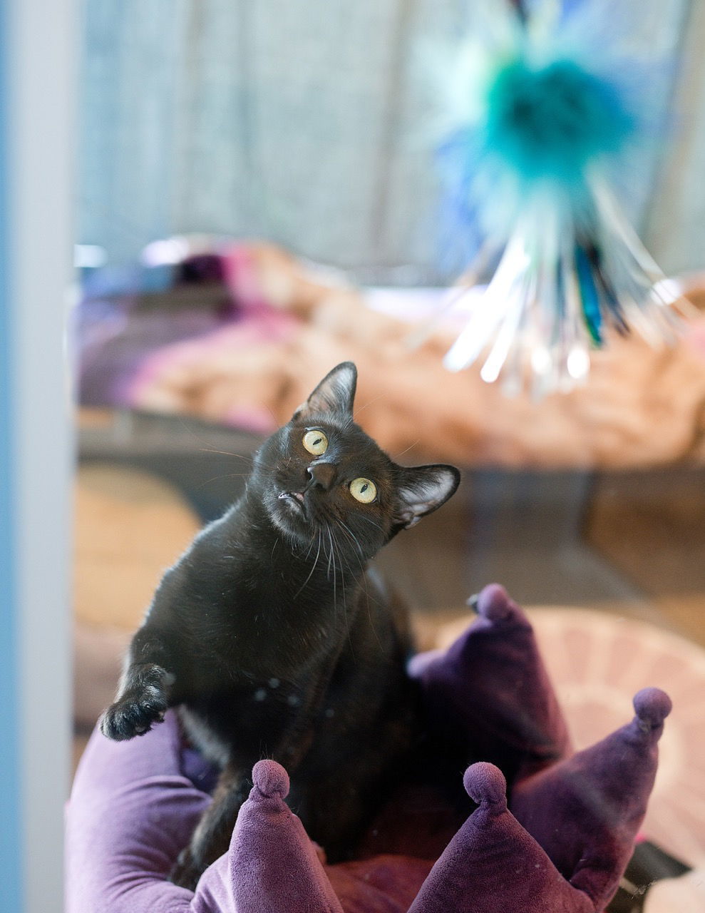 Kiki