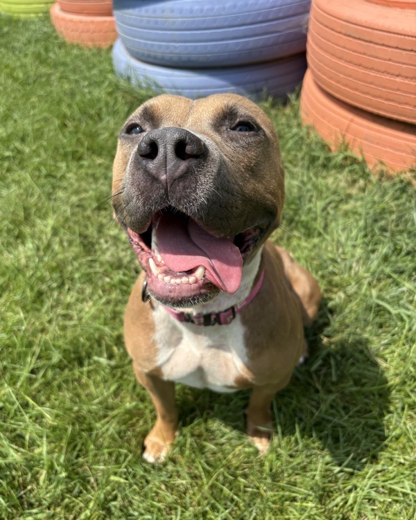 Kona