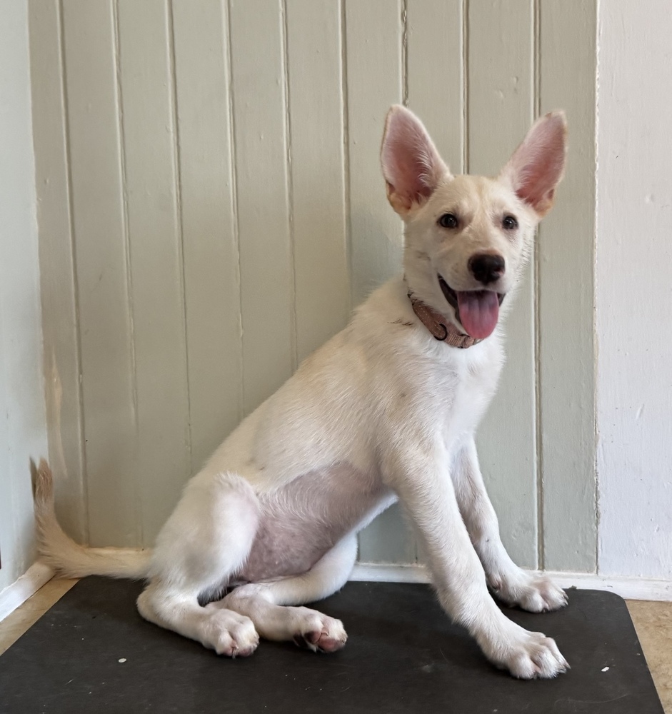 Monroe