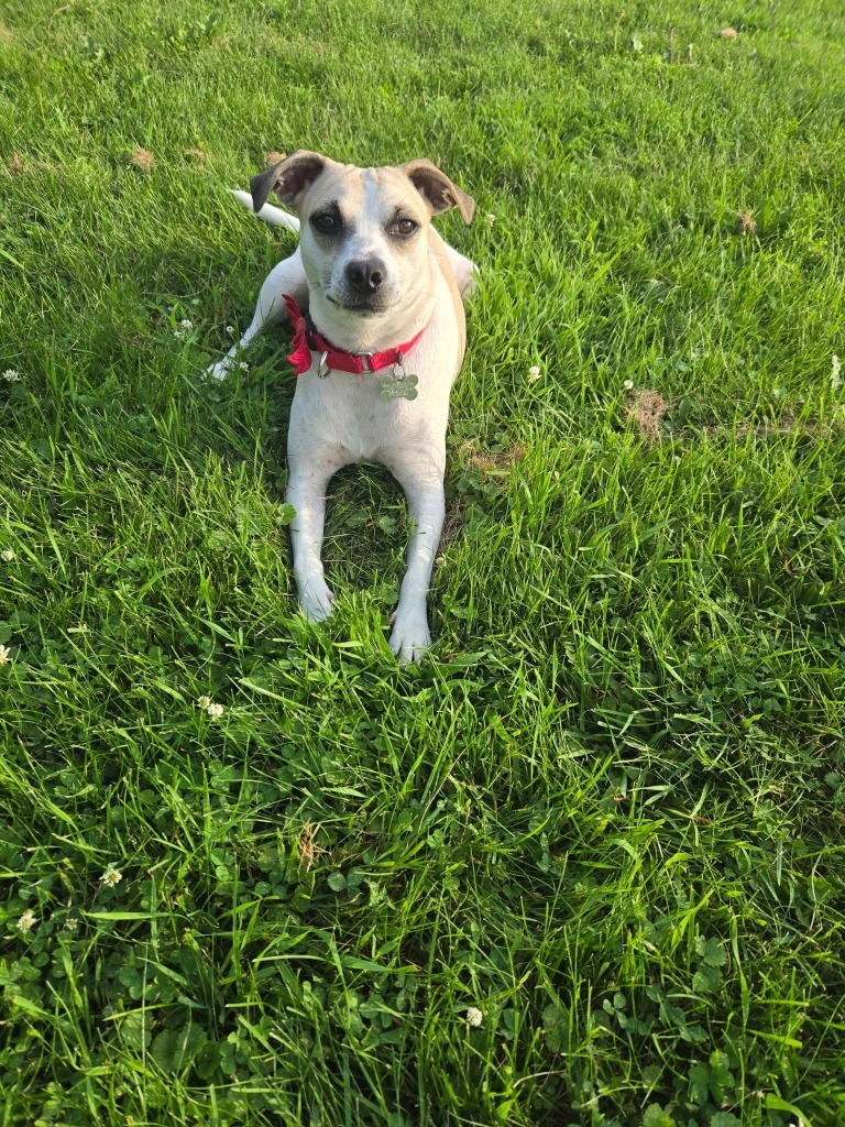Bonnie