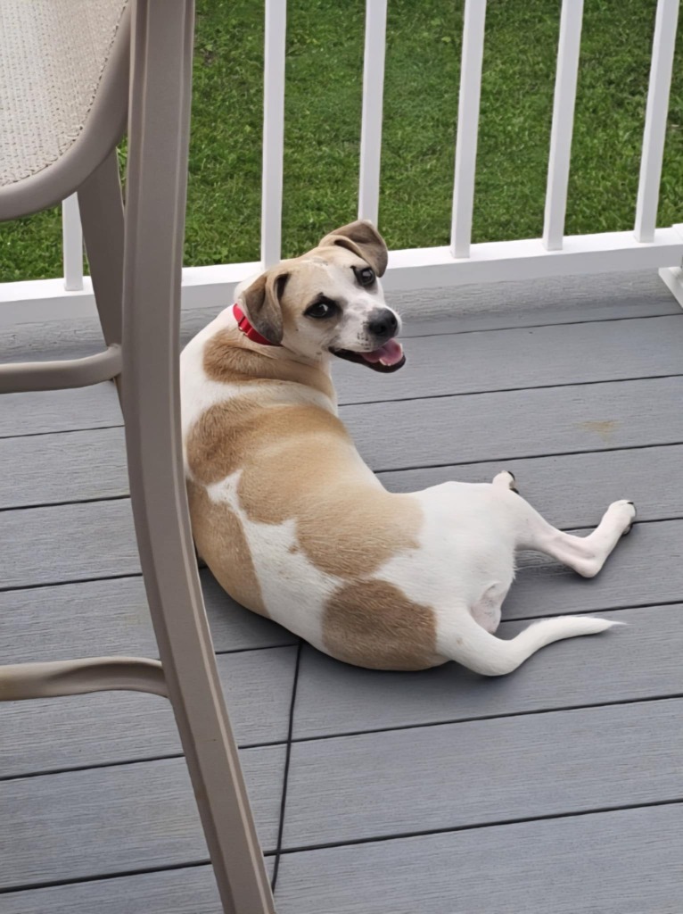 Bonnie