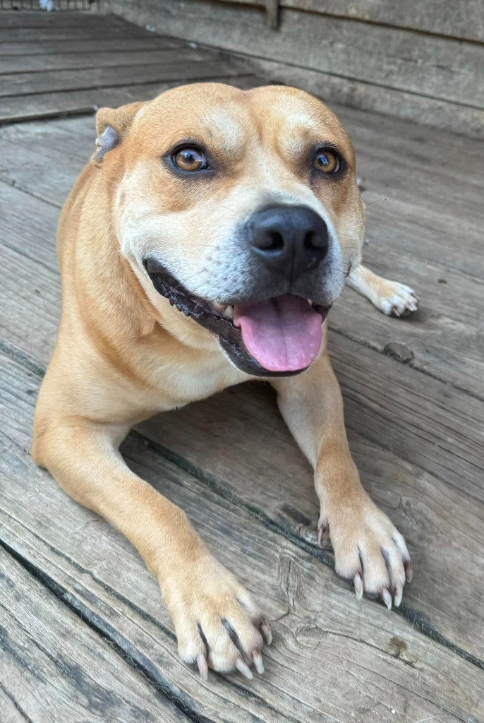 Winston