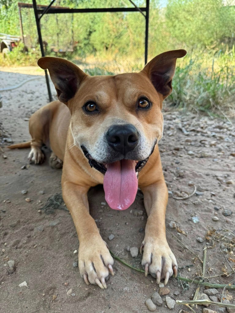 Winston