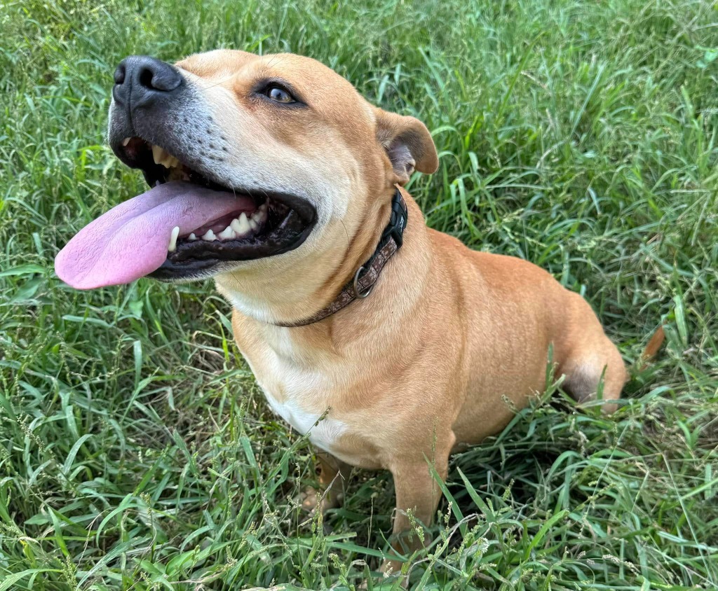 Winston
