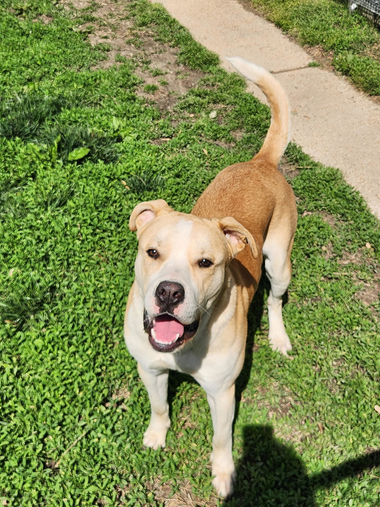Tucker