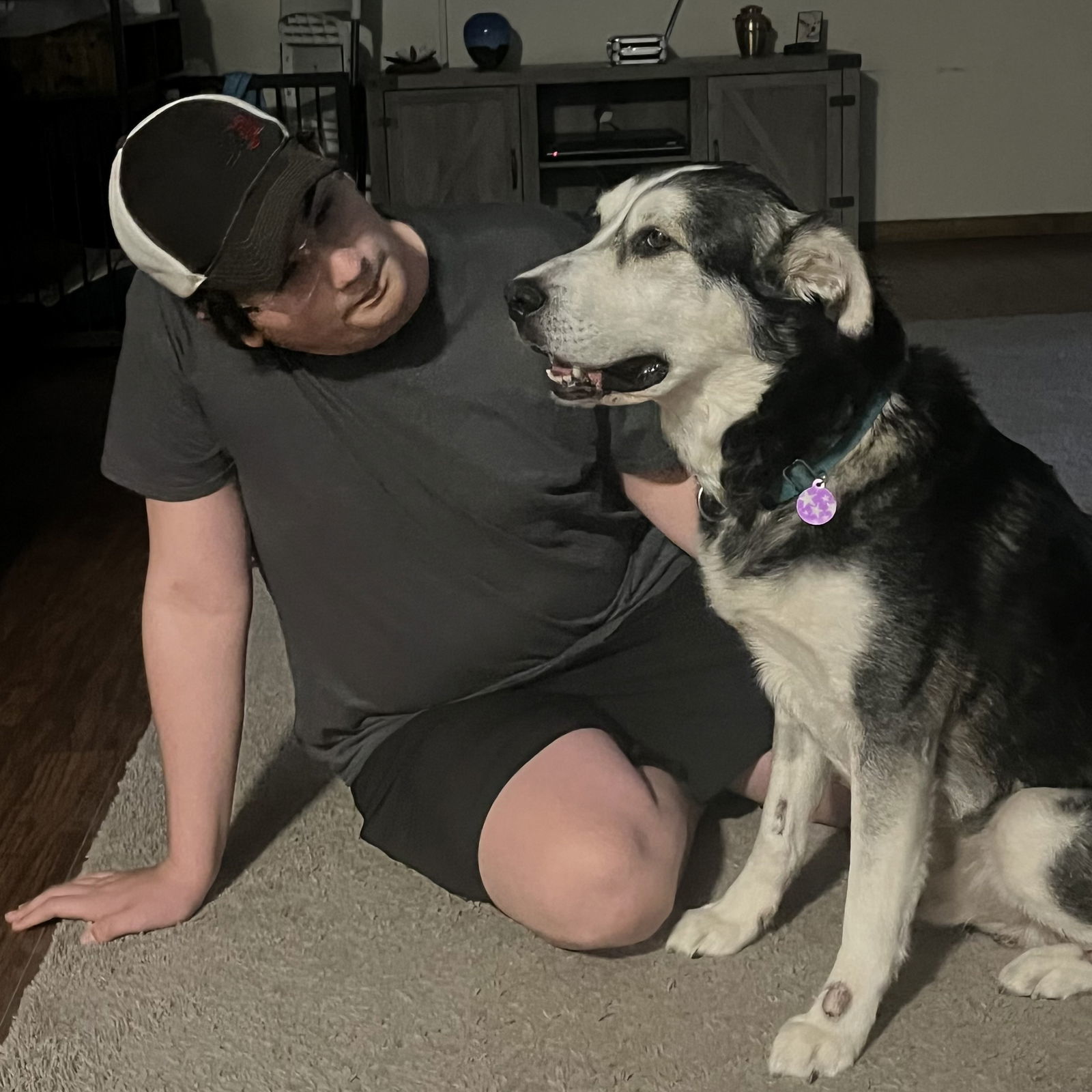 Forty, an adoptable Husky in Fargo, ND, 58103 | Photo Image 3