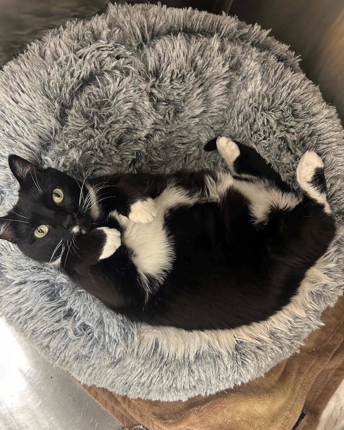 Kiki