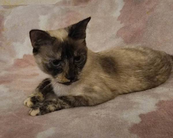 Marble