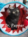 Dr. Pepper photo 1