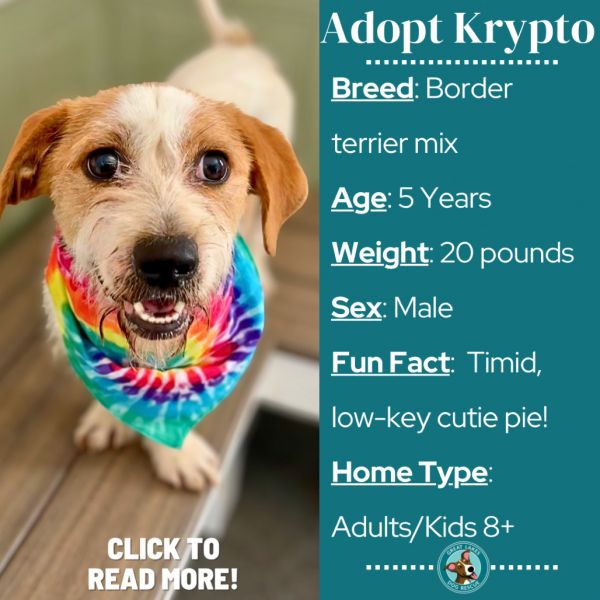 Krypto
