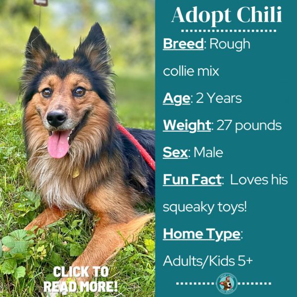 Chili