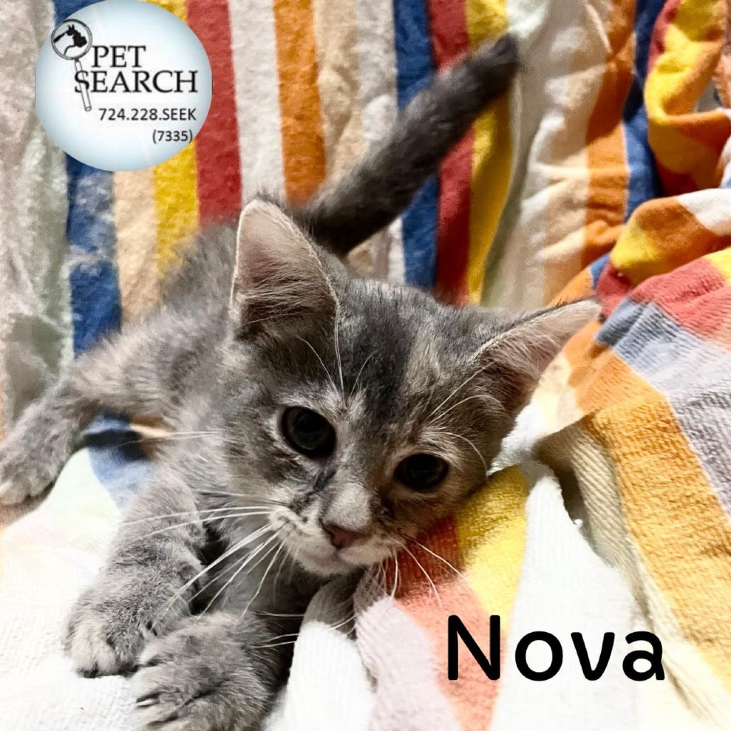 Nova