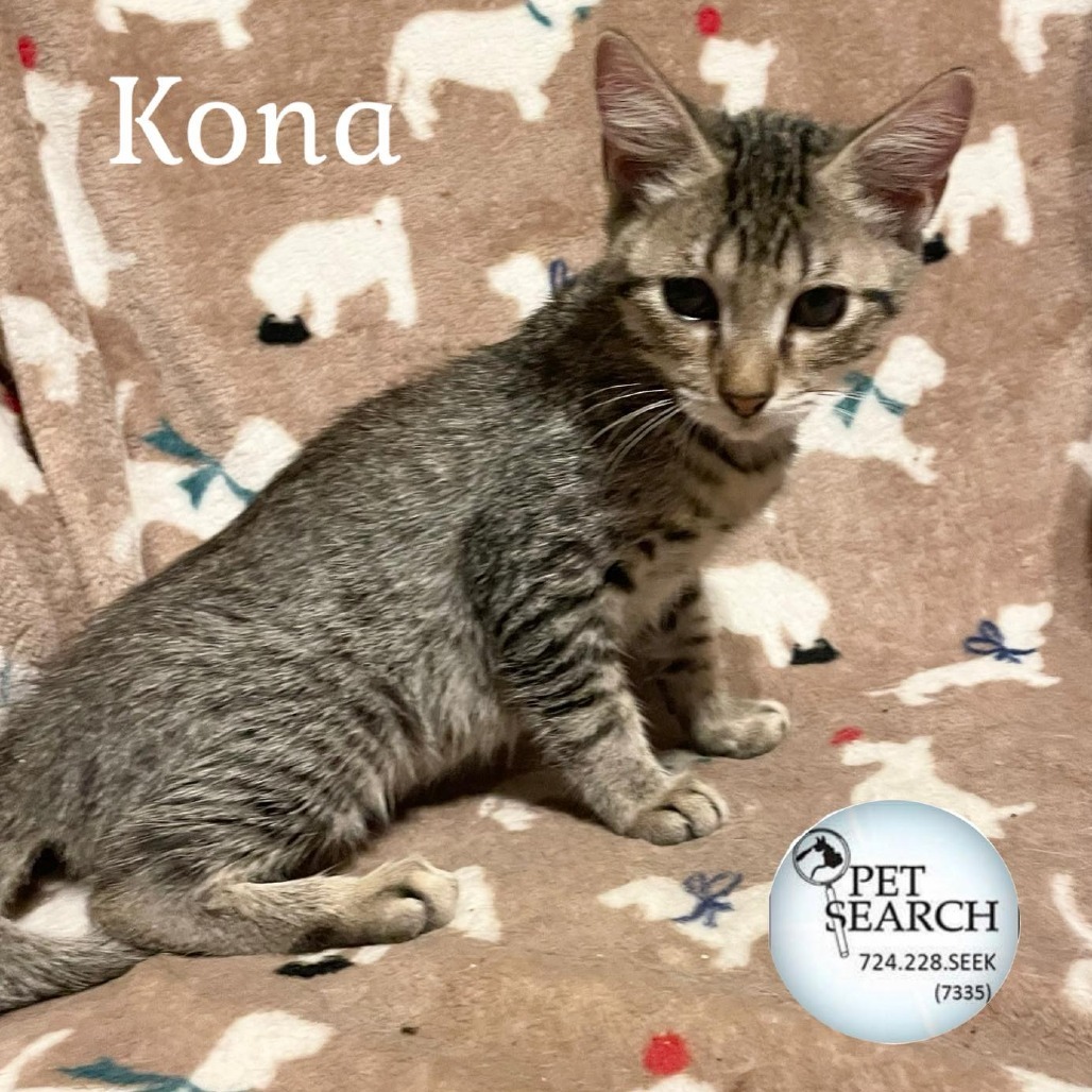 Kona