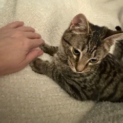 Cooper