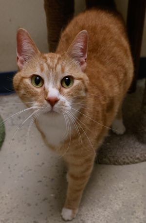 Katie, Senior Female unknown