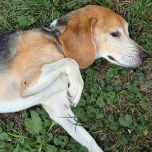Conner, Senior Male unknown