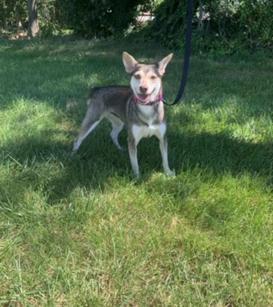 Luna