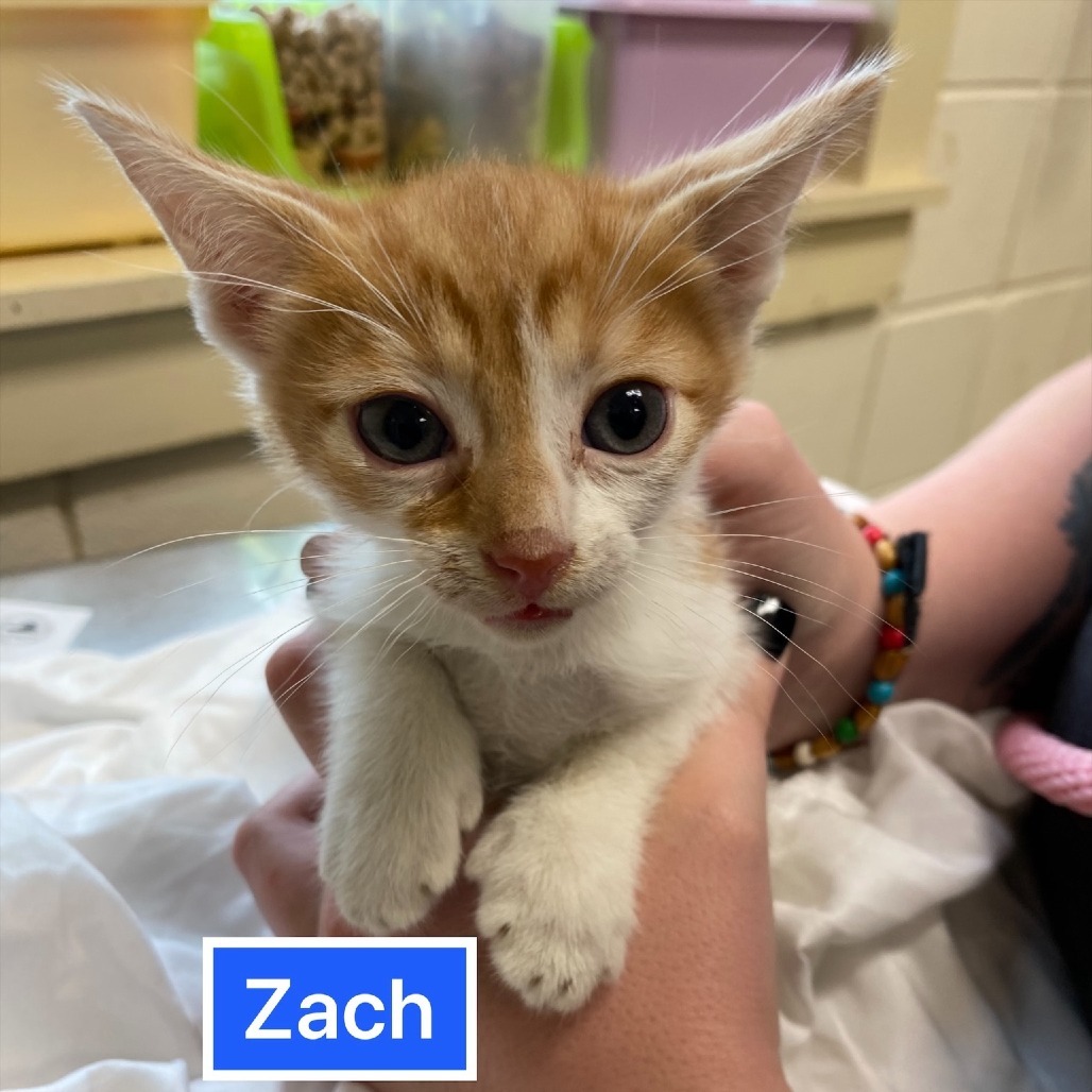 Zach