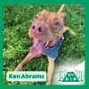 Ken Abrams photo 1