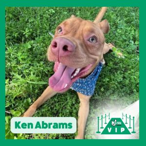 Ken Abrams, Young Male unknown