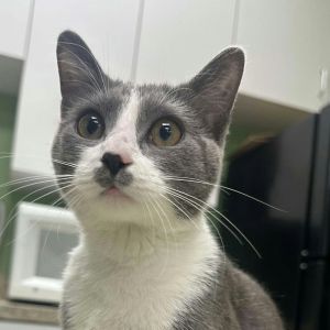 Minny, Young Female unknown