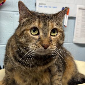 Tater tot, Senior Female unknown