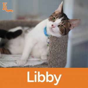 Libby, Senior Female unknown
