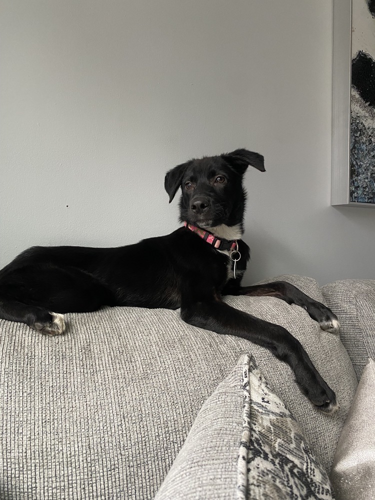 Sophie