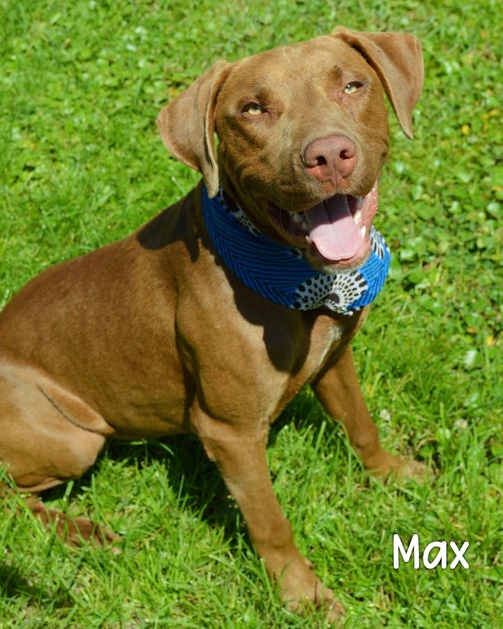 Max