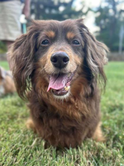 Chester
